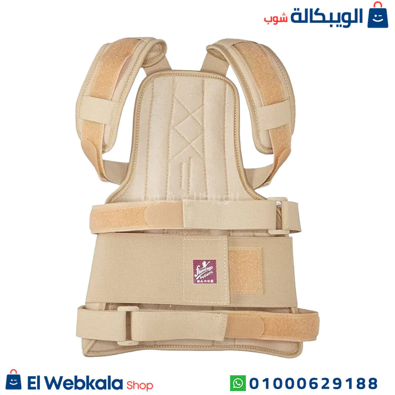 Dorso Lumbar Spinal Brac size مقاس حزام الظهر الطبي