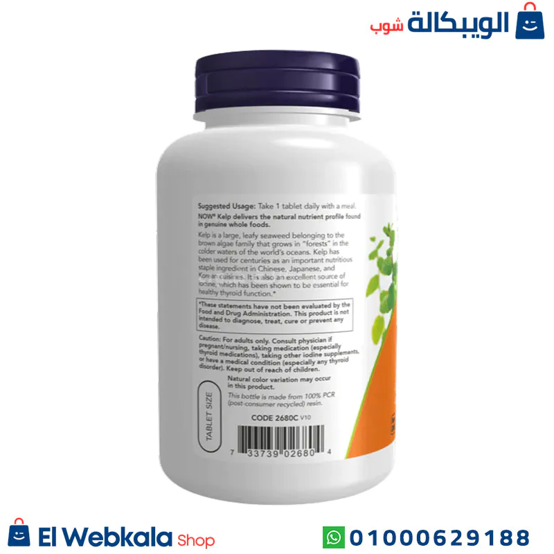 استخدامات حبوب kelp