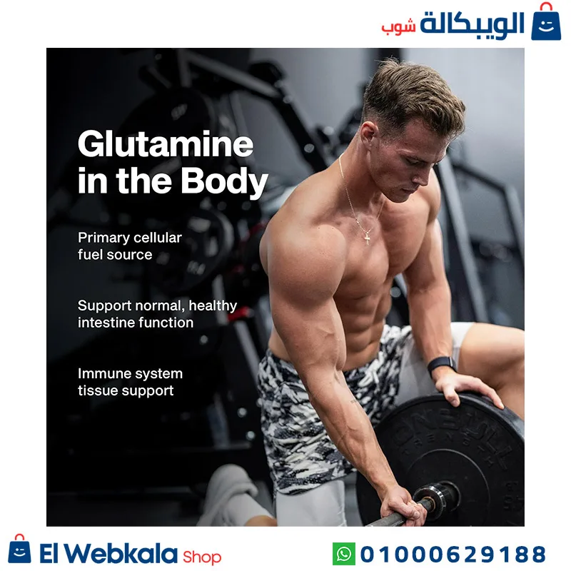⁦جلوتامين بودر لتقليل الإجهاد العضلي – muscletech 100 pure l glutamine powder 60 servings⁩ - الصورة ⁦4⁩