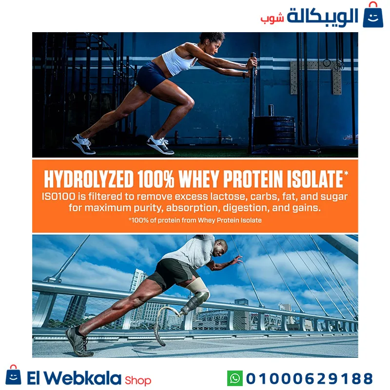 ايزو بروتين 100