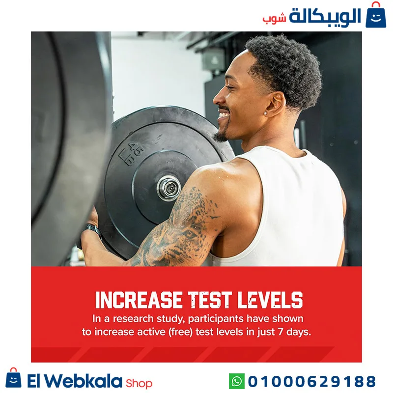 اقراص التستوستيرون